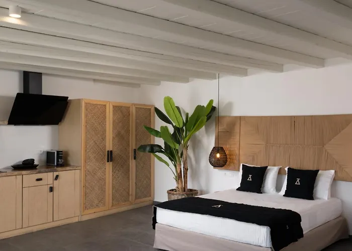 Apartament typu executive